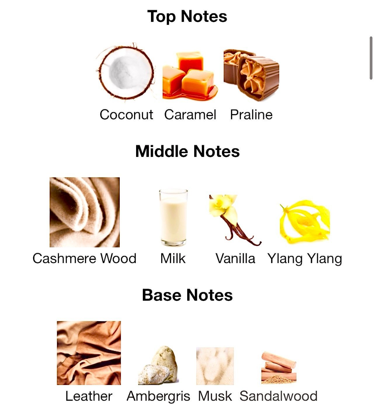 ARABIYAT PRESTIGE NYLA SUEDE image 2