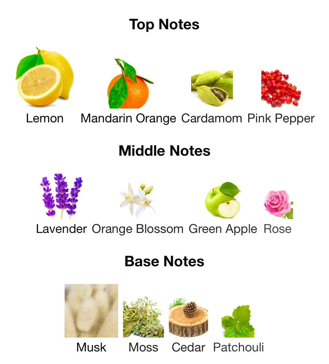 AFNAN 9 AM GOLD WHITE #7*50t image 2