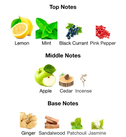 AFNAN 9 AM ⏰ 100ML M image 2