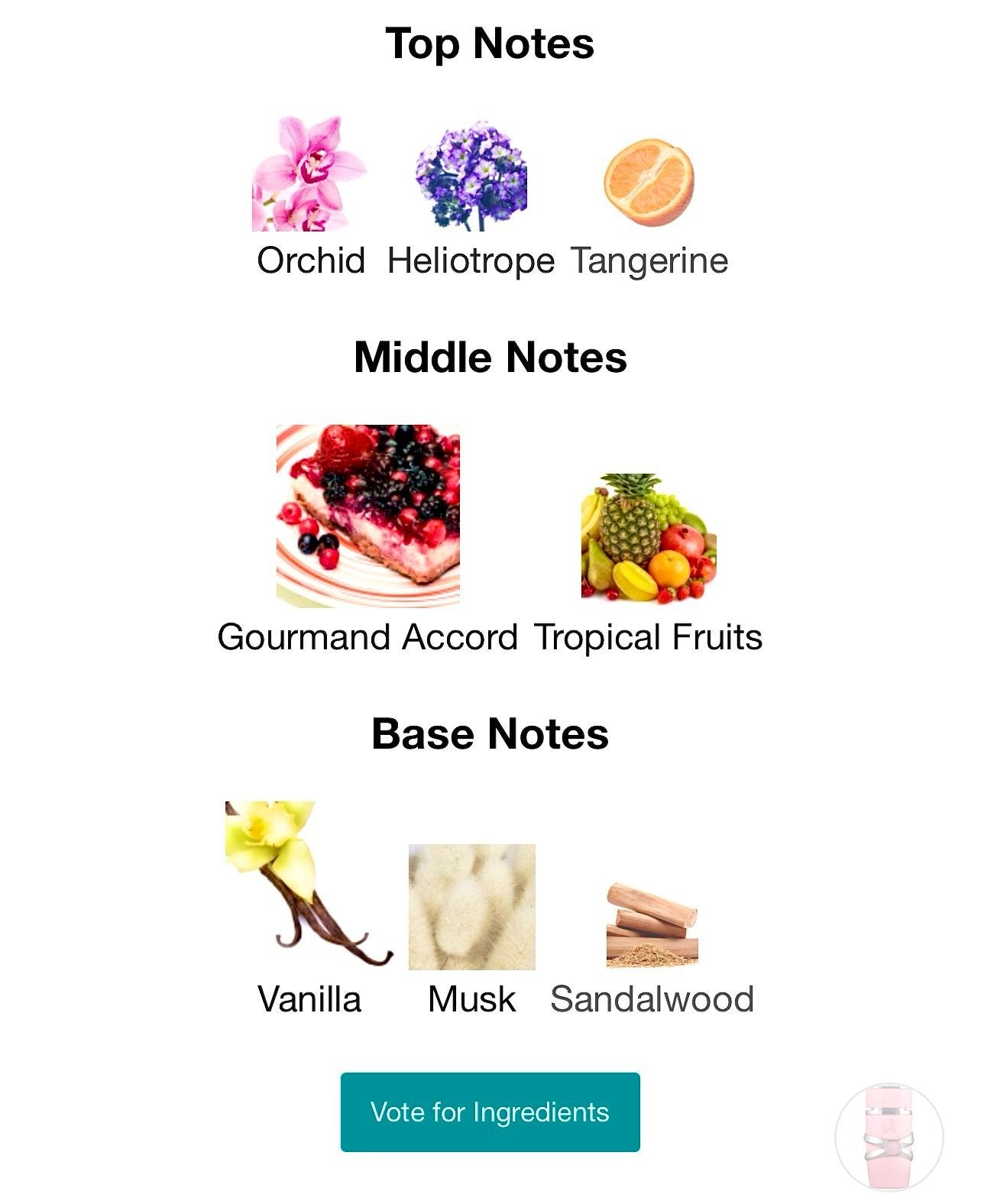 LATTAFA YARA 100 ML W image 2