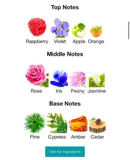 AFNAN 9 PM POUR FEMME image 2